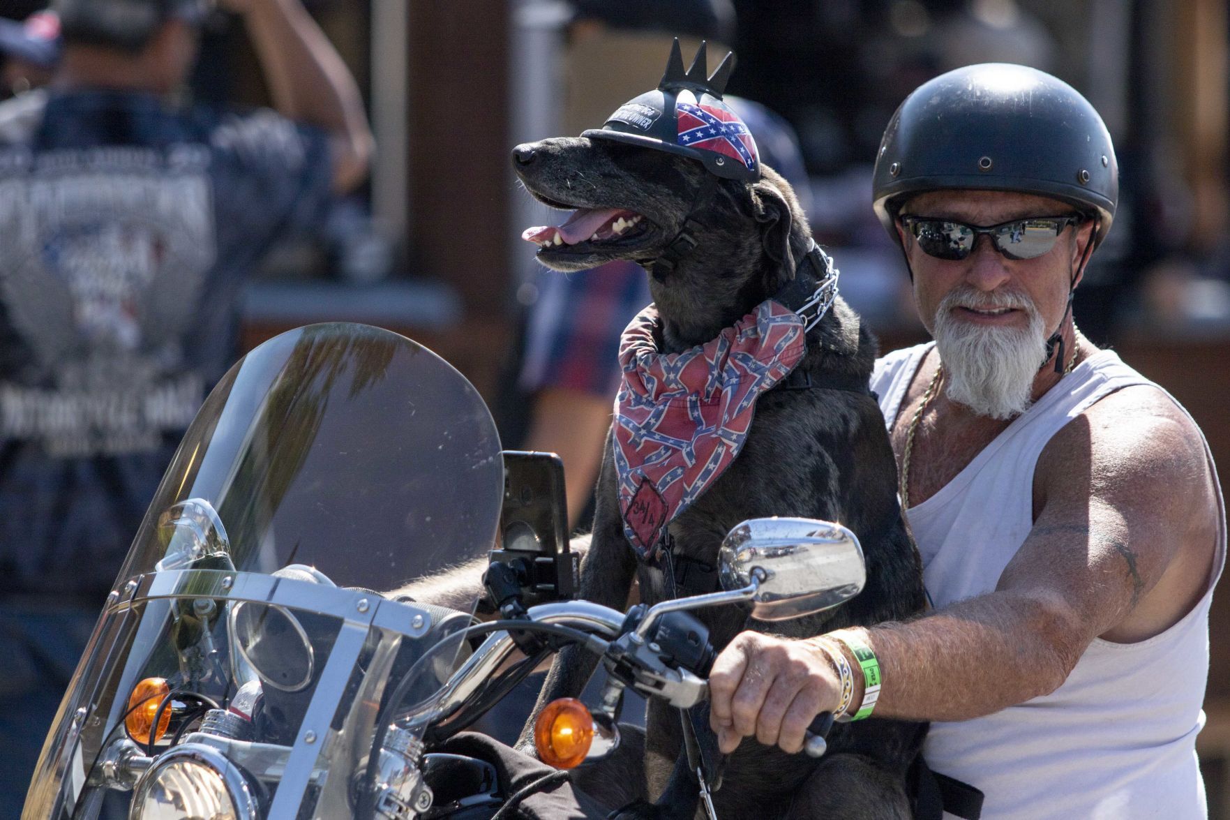 Biker with dog, centerpiece 2